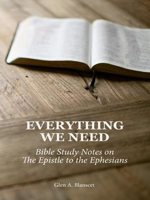 cover image of Everything We Need